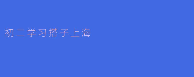 初二学习搭子上海