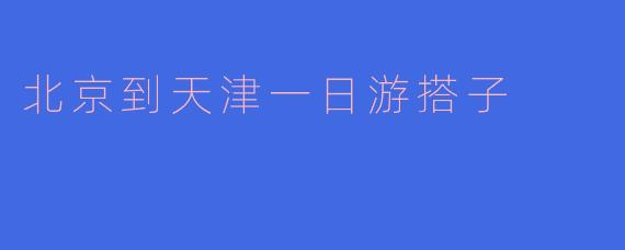 北京到天津一日游搭子