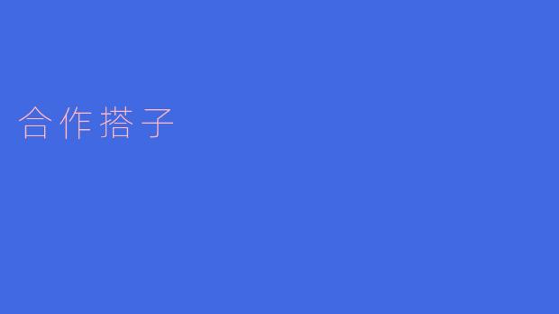 合作搭子