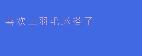 喜欢上羽毛球搭子