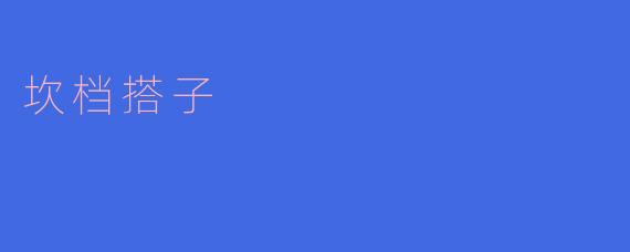什么是“坎档搭子”？在方言或特定文化中有什么特殊含义吗？