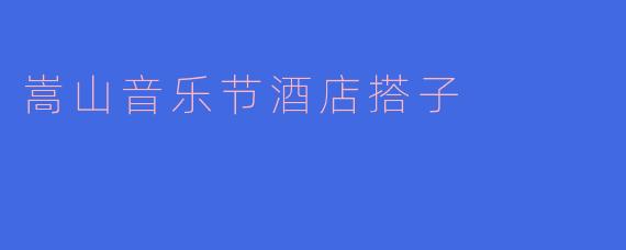 嵩山音乐节酒店搭子