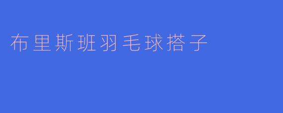 布里斯班羽毛球搭子