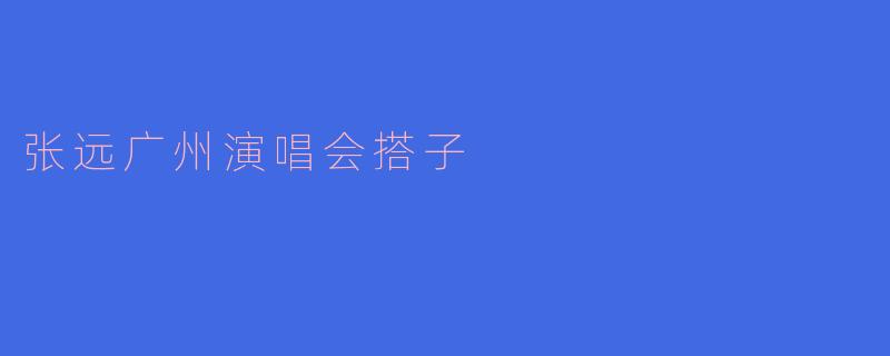 张远广州演唱会搭子