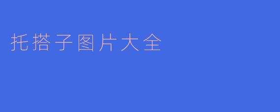 托搭子图片大全