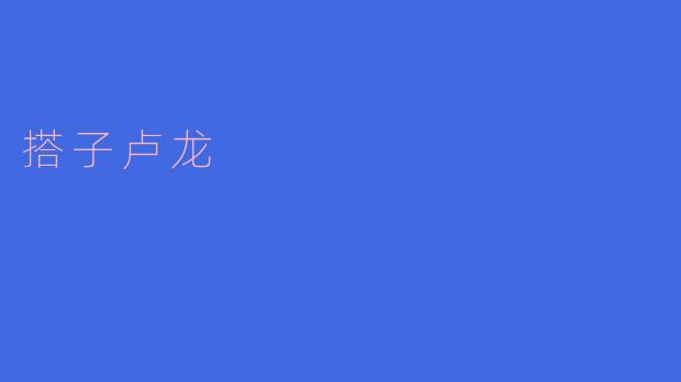 搭子卢龙