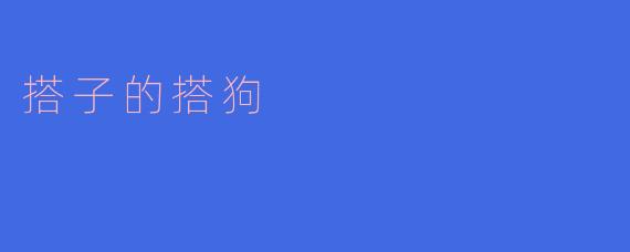 搭子的搭狗