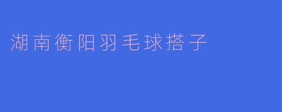 湖南衡阳羽毛球搭子