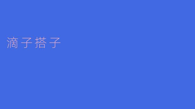 滴子搭子