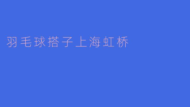 羽毛球搭子上海虹桥