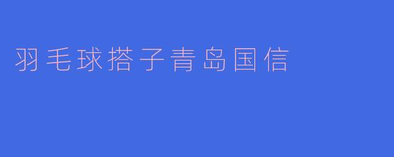 羽毛球搭子青岛国信