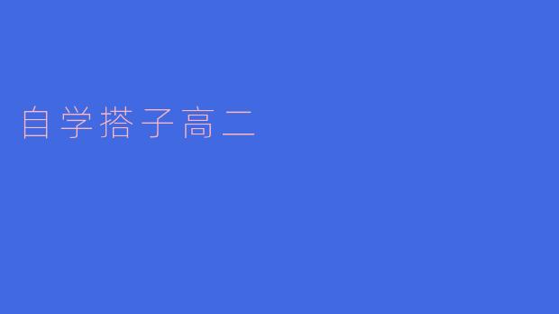 自学搭子高二