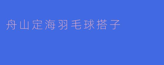 舟山定海羽毛球搭子