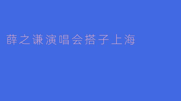 薛之谦演唱会搭子上海