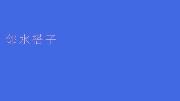 邻水搭子