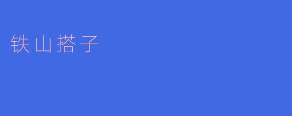 什么是“铁山搭子”？