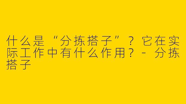 什么是“分拣搭子”？它在实际工作中有什么作用？-分拣搭子