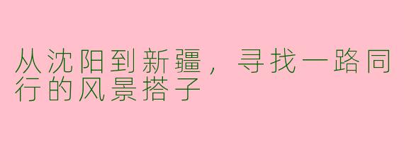 从沈阳到新疆，寻找一路同行的风景搭子