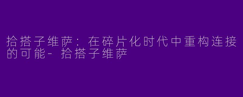 拾搭子维萨：在碎片化时代中重构连接的可能-拾搭子维萨