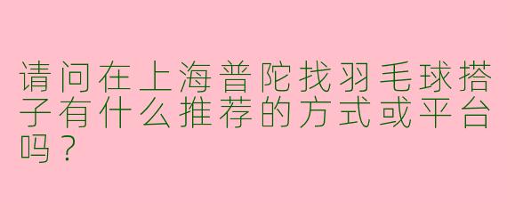 请问在上海普陀找羽毛球搭子有什么推荐的方式或平台吗？