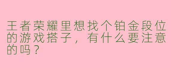 王者荣耀里想找个铂金段位的游戏搭子，有什么要注意的吗？