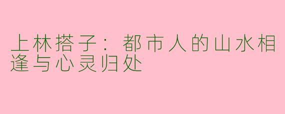 上林搭子：都市人的山水相逢与心灵归处