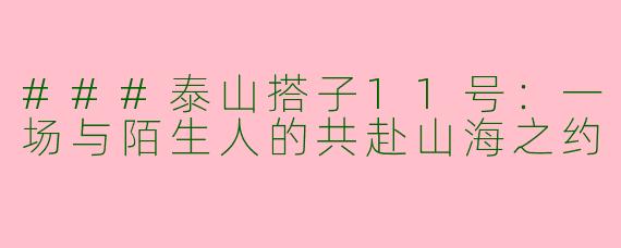 ###泰山搭子11号：一场与陌生人的共赴山海之约