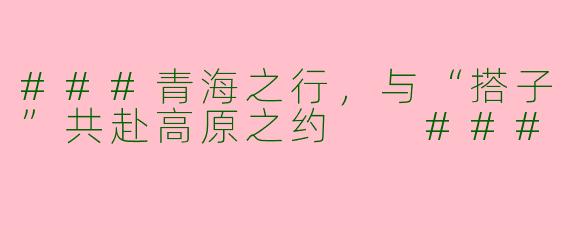 ###青海之行，与“搭子”共赴高原之约

###