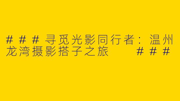 ###寻觅光影同行者：温州龙湾摄影搭子之旅

###