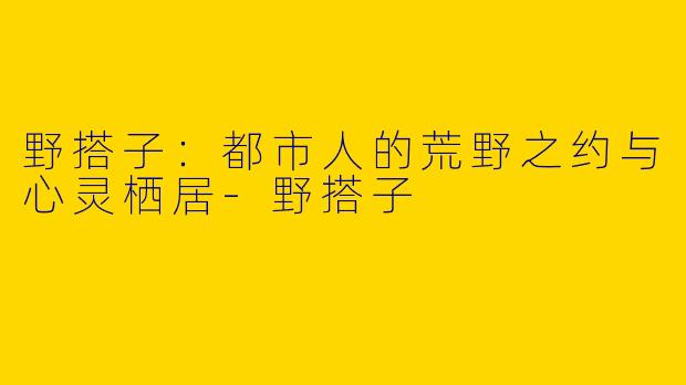 野搭子：都市人的荒野之约与心灵栖居-野搭子