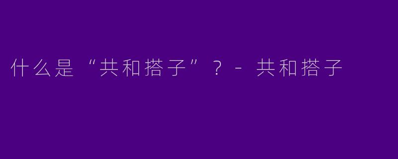 什么是“共和搭子”？-共和搭子