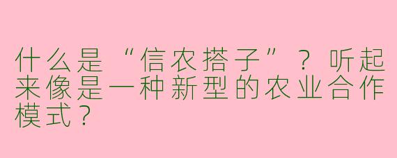 什么是“信农搭子”？听起来像是一种新型的农业合作模式？