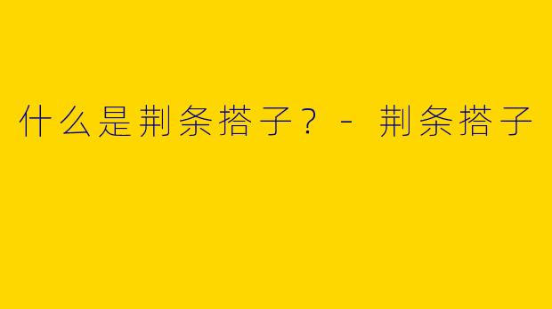 什么是荆条搭子？-荆条搭子