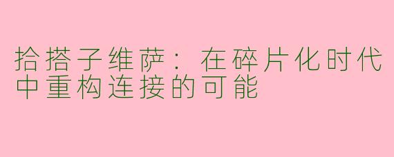 拾搭子维萨：在碎片化时代中重构连接的可能