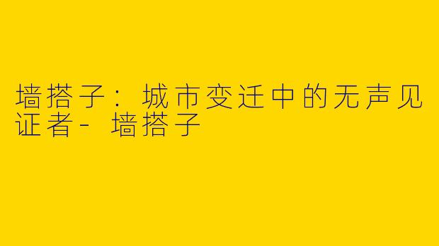 墙搭子：城市变迁中的无声见证者-墙搭子