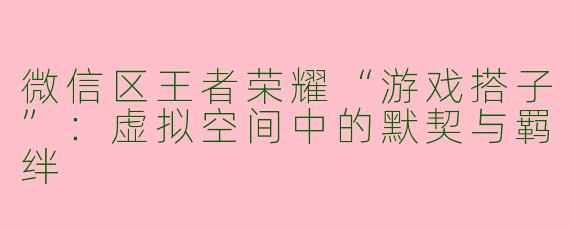 微信区王者荣耀“游戏搭子”：虚拟空间中的默契与羁绊
