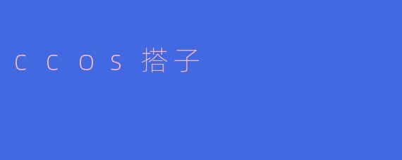 ccos搭子