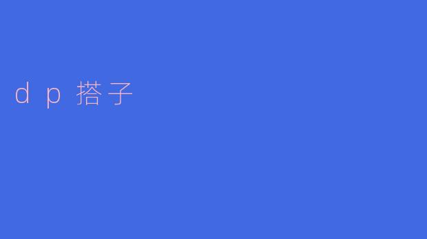 dp搭子