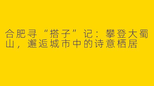 合肥寻“搭子”记：攀登大蜀山，邂逅城市中的诗意栖居