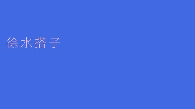 徐水搭子