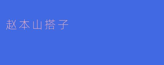 赵本山搭子