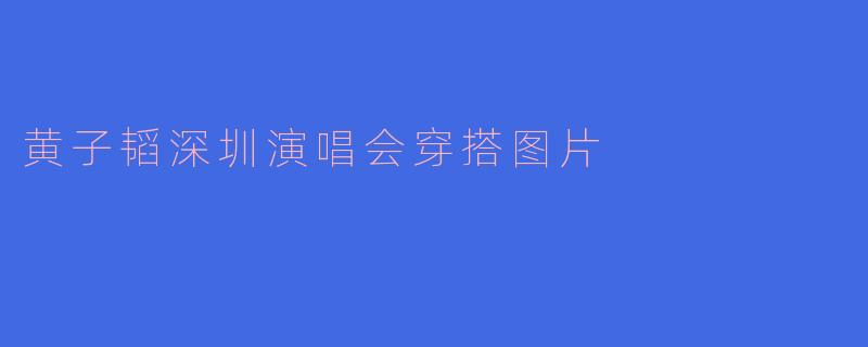 黄子韬深圳演唱会穿搭图片