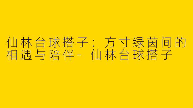 仙林台球搭子：方寸绿茵间的相遇与陪伴-仙林台球搭子