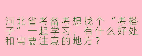 河北省考备考想找个“考搭子”一起学习,有什么好处和需要注意的地方?