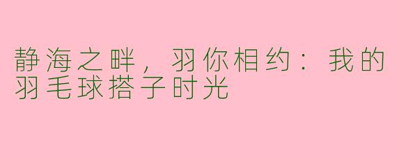 静海之畔，羽你相约：我的羽毛球搭子时光