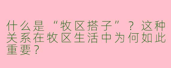 什么是“牧区搭子”？这种关系在牧区生活中为何如此重要？