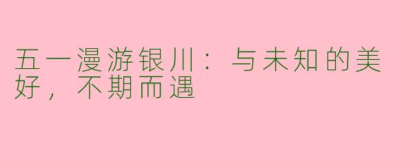 五一漫游银川：与未知的美好，不期而遇