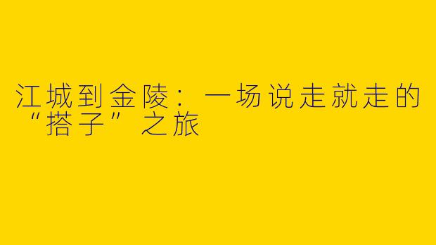 江城到金陵：一场说走就走的“搭子”之旅