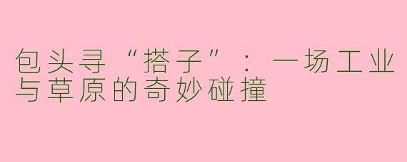 包头寻“搭子”：一场工业与草原的奇妙碰撞