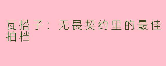 瓦搭子：无畏契约里的最佳拍档